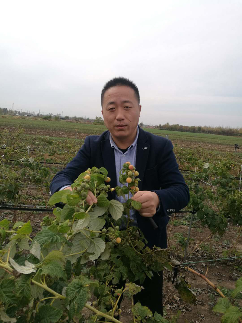 采摘园地